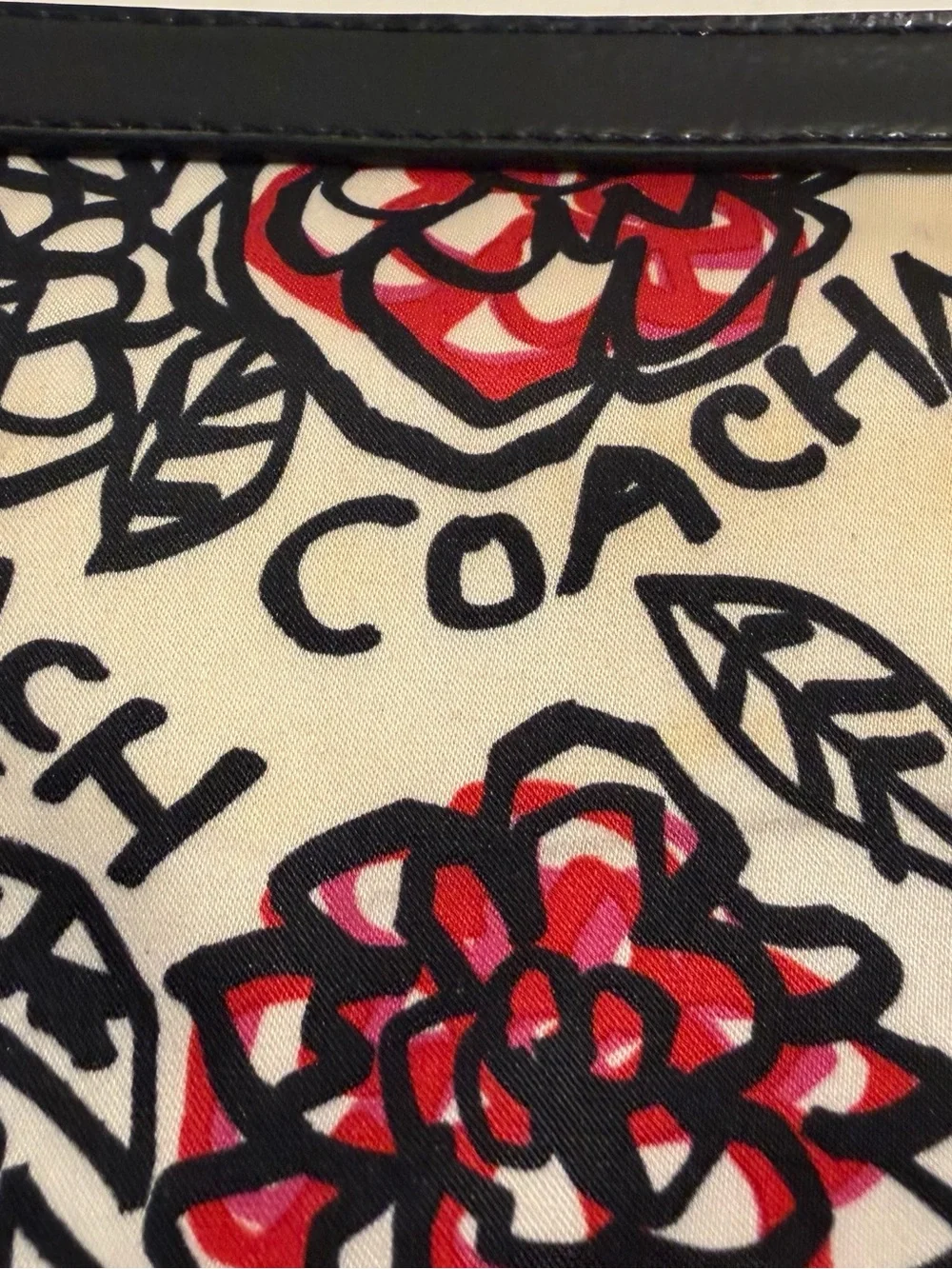 Coach Poppy Daisy Floral Graffiti wristlet.